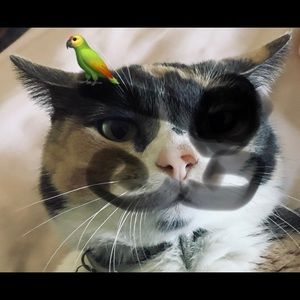 Meet your Posher, Jack